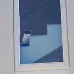 Mandulivi, Nel Mandorleto E Mansarda Vista Mare Villaggio Azzurro