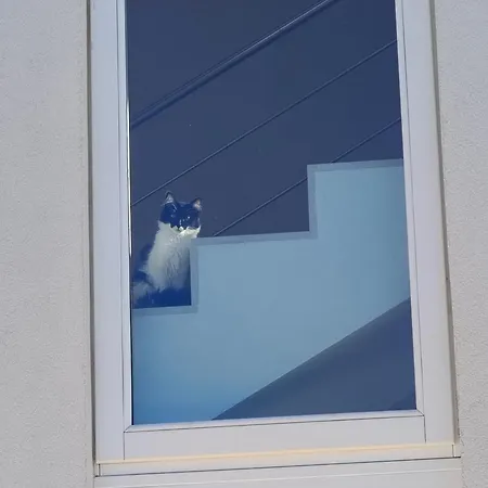 Mandulivi, Nel Mandorleto E Mansarda Vista Mare Villaggio Azzurro